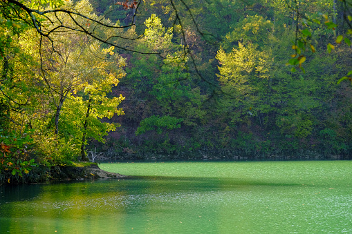 Autumn trees reflection in lake in Sibillini natural park