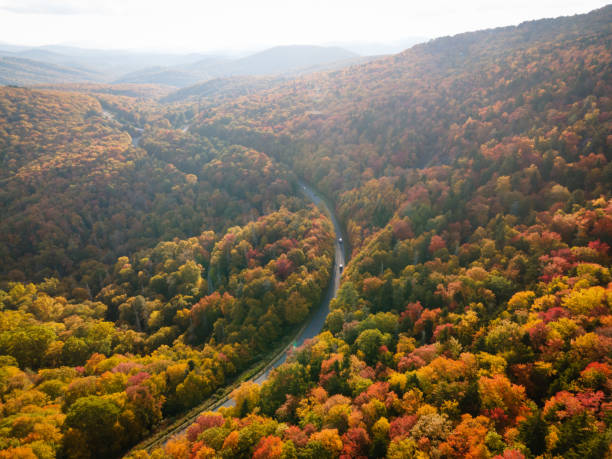 istock Fall Colors on a Mountain Road in Western North Carolina 1435617963