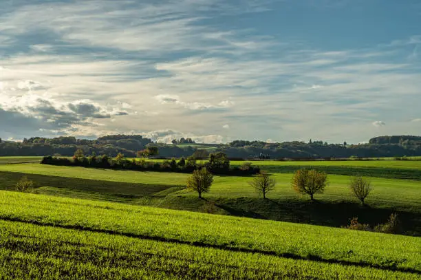 Autumn Landscape in Fricktal - light, color, nature