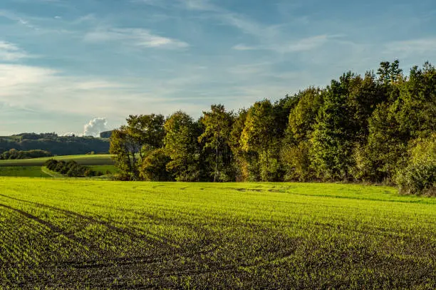 Autumn Landscape in Fricktal - light, color, nature