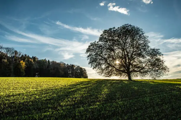 Autumn Landscape in Fricktal - light, color, nature