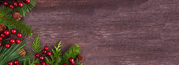 Winter corner border with evergreen branches, red berries and pine cones on a dark wood banner background stock photo