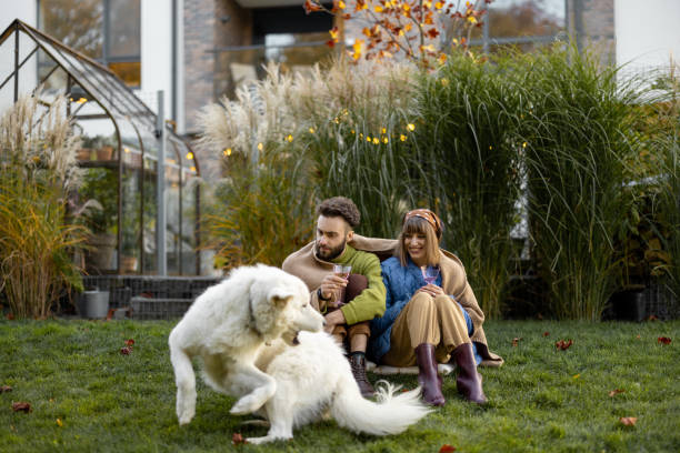 istock Young couple with dog at backyard 1435627473