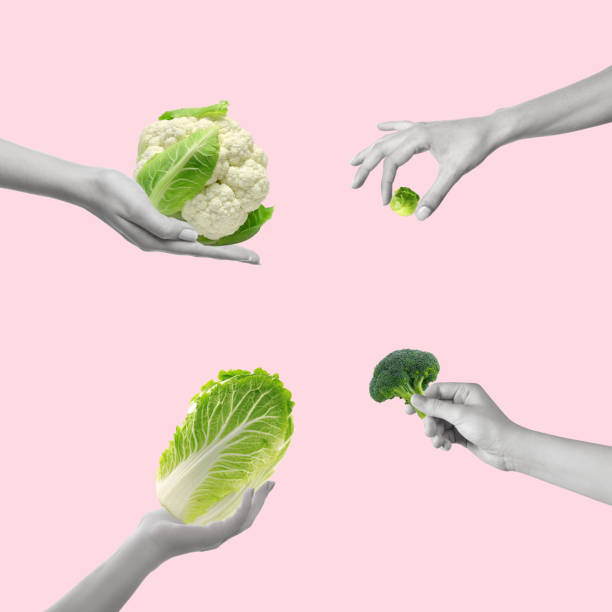 istock Contemporary art collage of hands with different cabbage varieties: broccoli, brussels sprouts, cauliflower, napa cabbage. 1435627615
