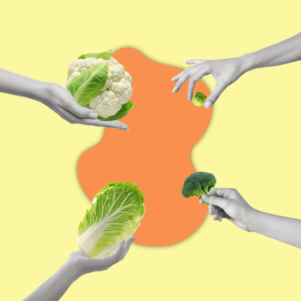 istock Contemporary art collage of hands with different cabbage varieties: broccoli, brussels sprouts, cauliflower, napa cabbage. 1435627617