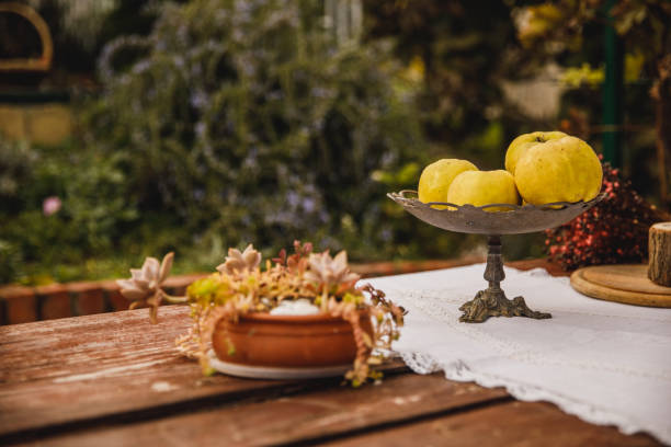 Copy space shot of a rustic wooden table, in the backyard decorated with succulents and a fruit platter with fresh quinces.