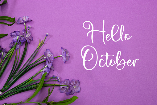 Hello October greeting with purple flowers