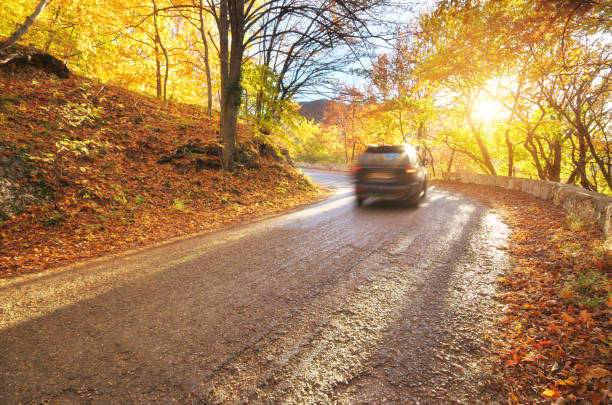 istock Autumn road and car in mountain forest 1435635473