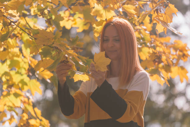 istock Sunny weather in autumn 1435636372