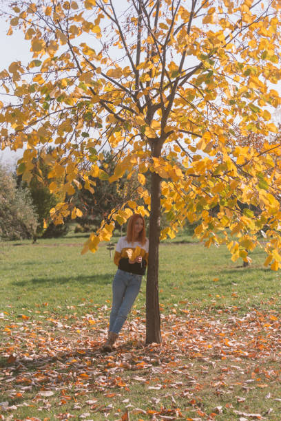 istock Sunny weather in autumn 1435636381