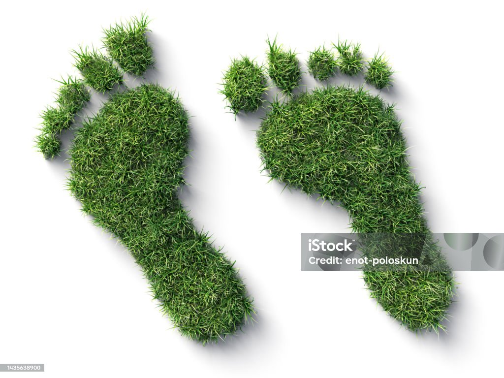 Footprint made Of Grass Environmental Conservation, Footprint, Green , Ecosystem, Environment, Footprint Stock Photo