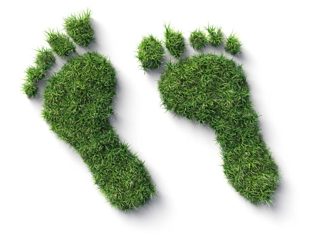 Footprint made Of Grass stock photo