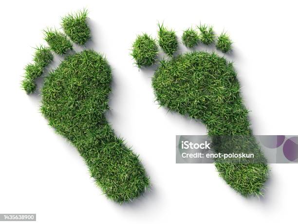 Footprint Made Of Grass Stock Photo - Download Image Now - Footprint, Meadow, Carbon Footprint