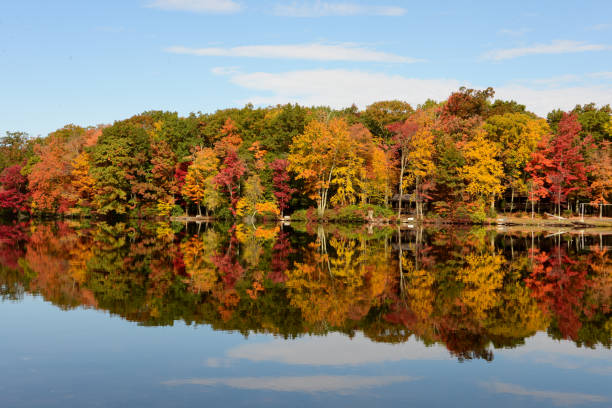 Autumn trees in the Poconos Trees with multi-colored autumn leaves reflected in a lake in the Pocono Mountains of Pennsylvania. pennsylvania stock pictures, royalty-free photos & images