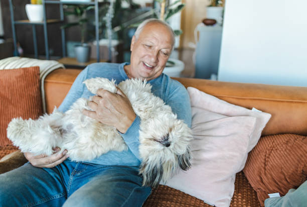 istock Senior Man Holding His Dog 1435642301
