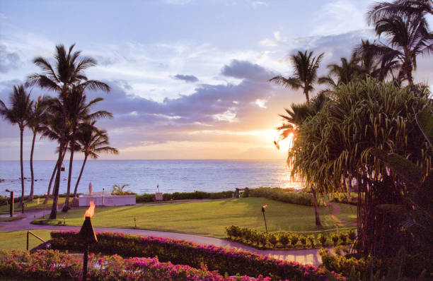 Tropical beach sunset landscape