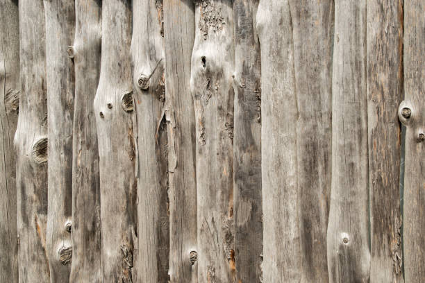 istock Wooden board yard fence 1435651893