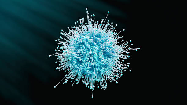 istock COVID-19 new Omicron sub-variant BQ.1.1 1435658332