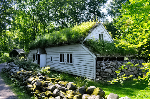 Oslo, Norway - July 17, 2021: Old wooden houses with grass on the roof at the Norwegian Folk Museum in the city center..