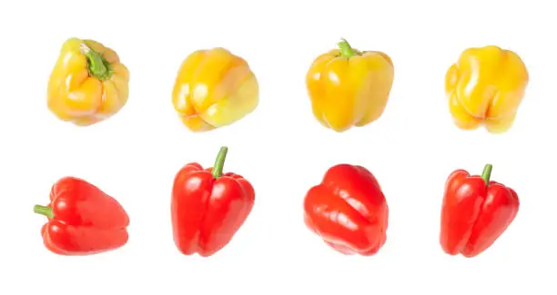 Set of red and yellow bell peppers on a white background - ripe peppers - view from different sides