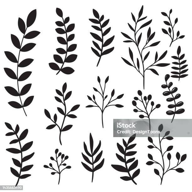 Branch Drawing Set Hand Drawn Tree Branches And Leaves Set Stock Illustration - Download ...