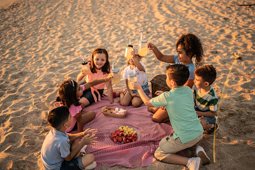 Children toasting while having a picnic at the beach