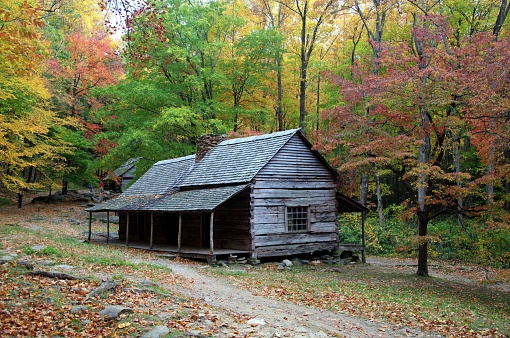 Historic cabin farmhouse in mountain grove of autumn foliage trees