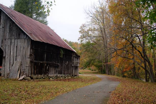 istock Barn in Autumn at Emerts Cove 1435667058