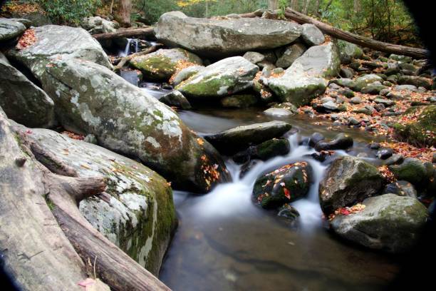 roaring fork creek - gatlinburg great smoky mountains national park nature water - fotografias e filmes do acervo