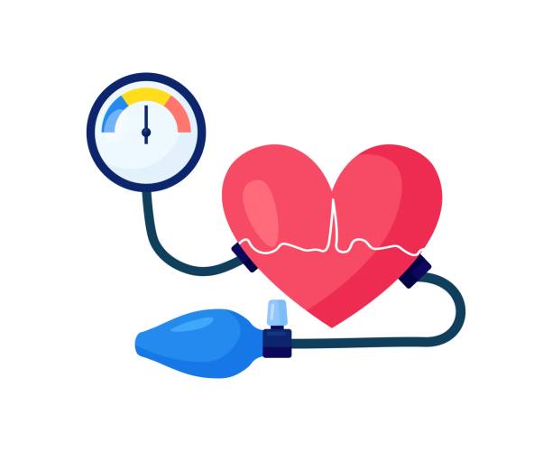 고혈압, 고혈압 치료. 스피그노미터를 가진 큰 인간의 심장. 건강 검진 및 심장 검진 - 고혈압의 stock illustrations