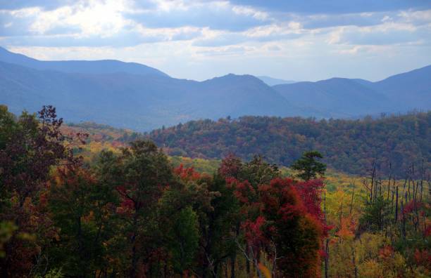 istock Smokey Mountain Vista 1435670888