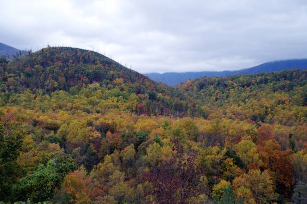 istock Smokey Mountain at Cherokee Orchard Gap 1435671391