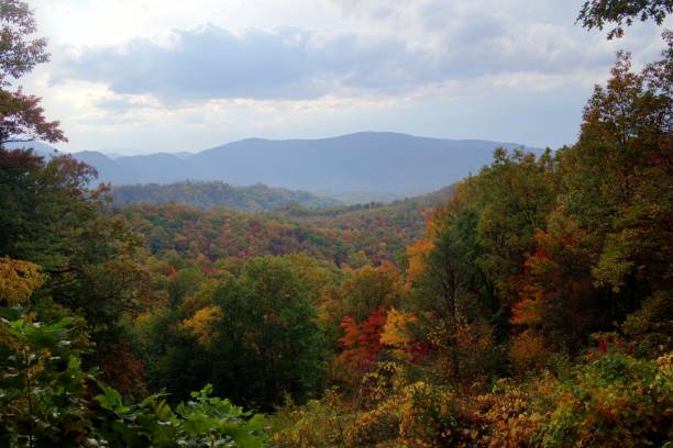 istock Smokey Mountains in Autumn 1435671415