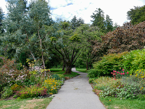 Beautful Garden in Stanley Park Vancouver (British Columbia)