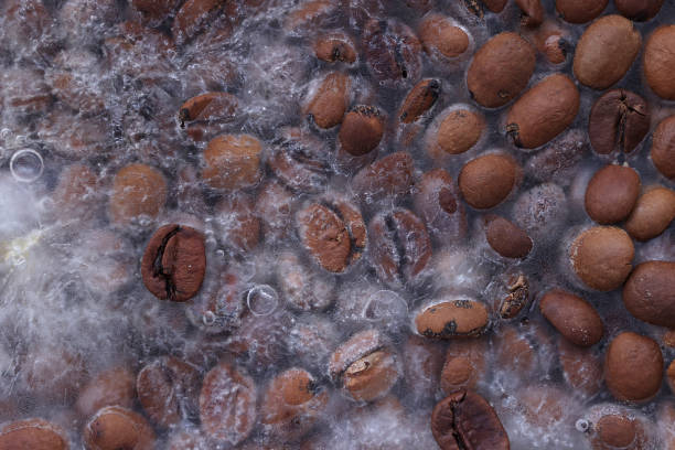 gefrorene kaffeebohnen - bean macro brown roasted stock-fotos und bilder