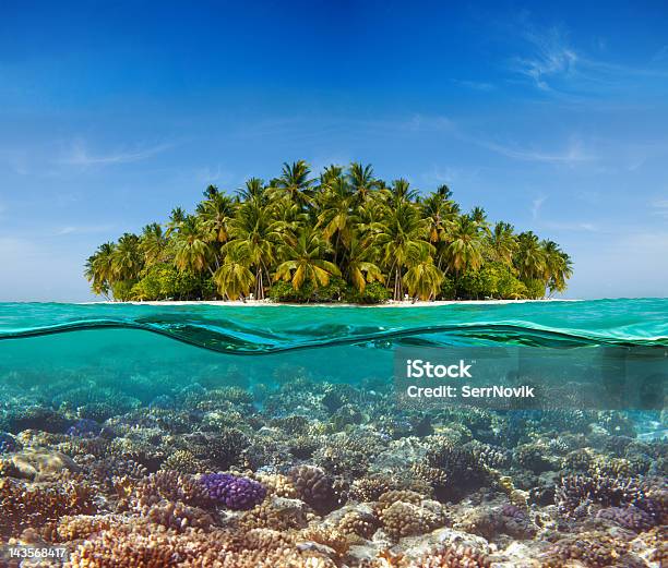 산호색 산호초 섬 수중에 대한 스톡 사진 및 기타 이미지 - 수중, 반이 채워진, 해변