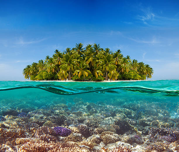 istock Coral reef and the Island 143568417