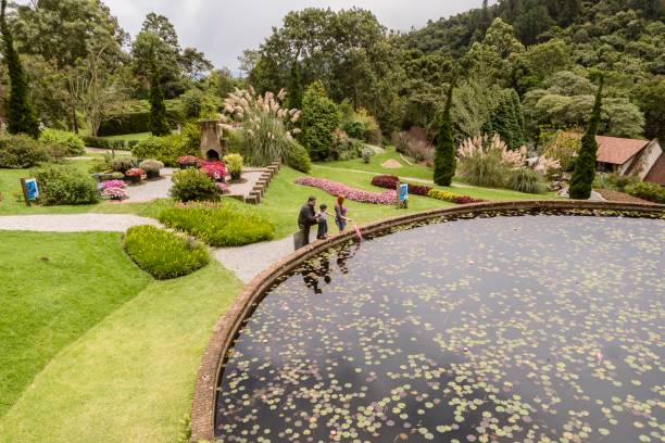 parc amantikivir, campos do jordão, brésil. lac avec plantes aquatiques et jardin. - japanese culture landscape landscaped ornamental garden photos et images de collection