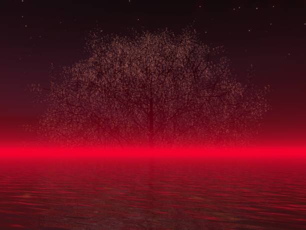 istock Fantastic landscape of Night and Cherry Blossoms 1435700525