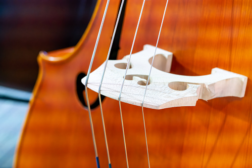 Close-up of violin