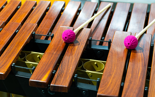 Close-up of xylophone