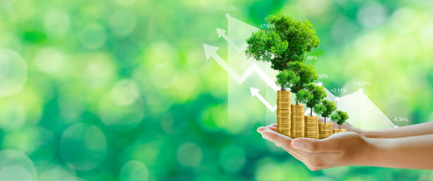 istock Money growing, Tree growing on stack of coins, sustainable development, csr, investment. 1435705364