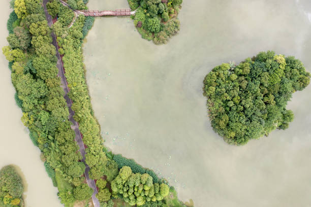 istock Aerial view, forests and lakes 1435706168