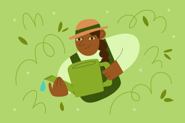 ilustrações de stock, clip art, desenhos animados e ícones de a woman farmer cares for garden by watering plants - environment homegrown produce canada north america