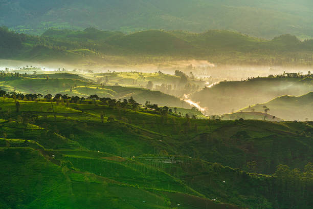 istock Sunrise view at Taman Langit Pengalengan Bandung West Java Indonesia 1435722596