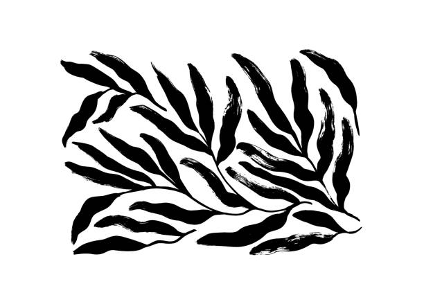 тропические листья в наивном стиле. - eucalyptus tree plants isolated objects nature stock illustrations