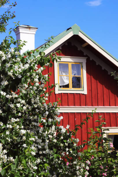 summer house - sweden nobody building exterior architectural feature imagens e fotografias de stock