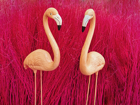 Two Brown Flamingos Standing Against Pink Reed Background