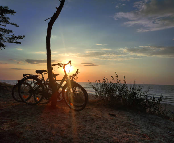istock Beach on the Baltic Sea. Evening scenery with a sandy beach, dunes covered with trees 1435735238