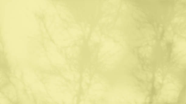 istock Blur Orange Wall with shadow Leaves Autumn Yellow Background 1435742367